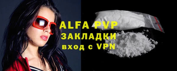 эйфоретик Арсеньев
