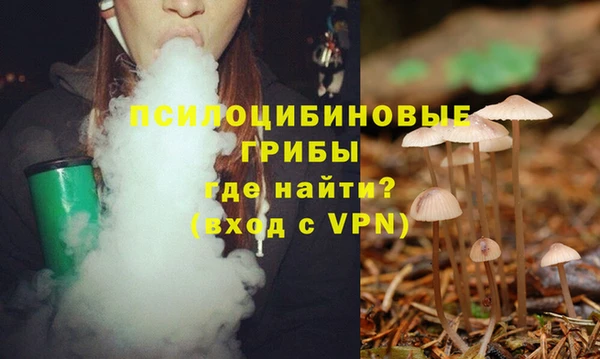 эйфоретик Арсеньев