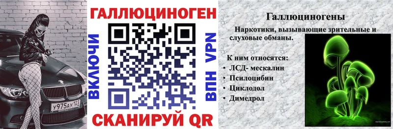 Псилоцибиновые грибы Psilocybine cubensis Кашира